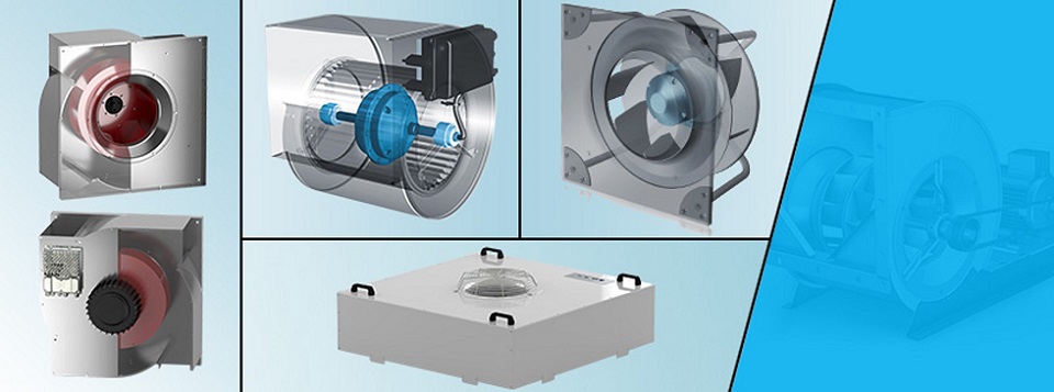 Nicotra_BannerR2.jpg Nicotra_BannerR2.jpg